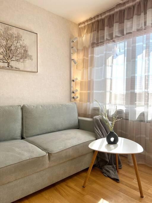 New Apartment With A View In The Town Center Narwa Zewnętrze zdjęcie
